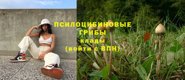 дмт Арсеньев