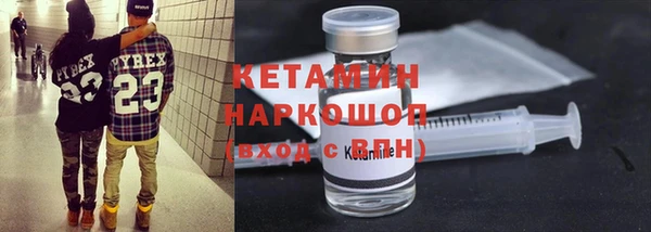 сатива Баксан
