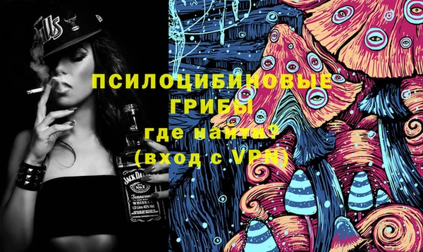 сатива Баксан